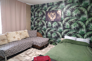 Квартиры Красноярска с размещением с животными, квартира-студия Светлогорский 9 с размещением с животными