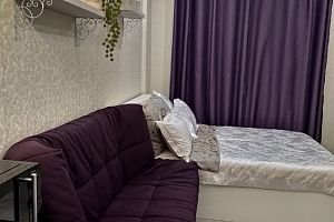 Квартиры Екатеринбурга недорого, квартира-студия Испытателей 24 недорого - снять