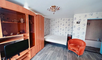 1-комнатная квартира Дзержинского 12 в Медвежьегорске - фото 3