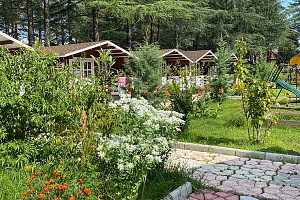 Отдых в Абхазии недорого, "Eco House Pitiunt" недорого - цены