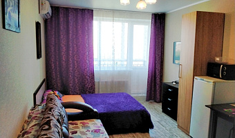 1-комнатная квартира Ломоносова 84 в Воронеже - фото 2