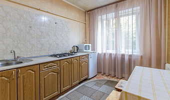 1-комнатная квартира Новгородская 135 в Воронеже - фото 5