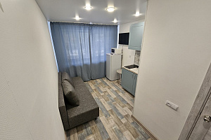 Квартиры Тюмени 3-комнатные, "Уютная со всеми удобствами"-студия 3х-комнатная - цены