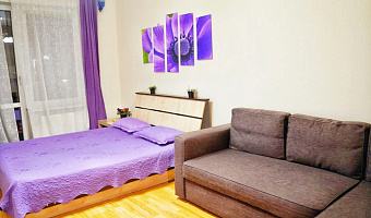 1-комнатная квартира Сибгата Хакима 44 в Казани - фото 2