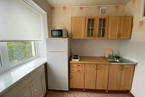 1-комнатная квартира Пролетарский 27 в Кеми фото 3