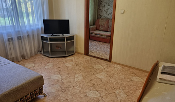2х-комнатная квартира Гагарина 2-я линия 9 в Златоусте - фото 4
