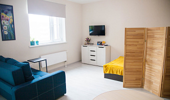 1-комнатная квартира Варкауса 37 в Петрозаводске - фото 4