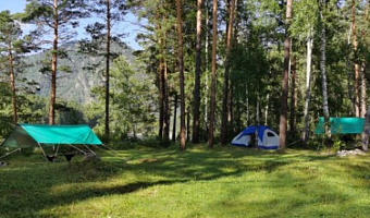 &quot;Forest Camp Altay&quot; кемпинг в п. Барангол - фото 3