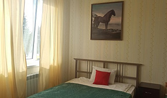 &quot;Вояж&quot; мини-отель в Васкелово - фото 4