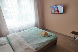 Гостиницы Барнаула для двоих, квартира-студия Солнечная Поляна 94к5 для двоих