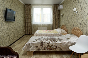 1-комнатная квартира Владимирская 55/в в Анапе фото 8