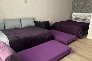 &quot;Apart violet&quot; 1-комнатная квартира в Петергоф фото 25