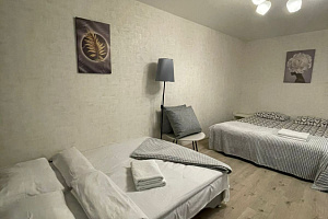 Отели Карелии с собственным пляжем, 1-комнатная Гагарина 2 с собственным пляжем - цены