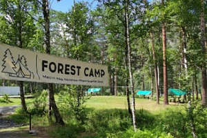База отдыха в , "Forest Camp Altay"