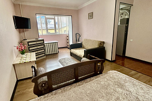 Квартиры Кисловодска с размещением с животными, 1-комнатная Широкая 40 с размещением с животными - снять