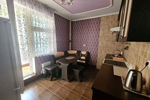 1-комнатная квартира Белозёрская 2 в Нижнем Новгороде фото 3
