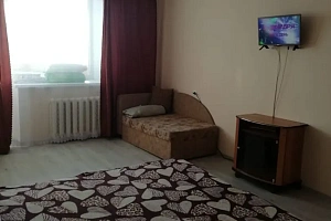 1-комнатная квартира Войкова 103 в Белебее фото 5