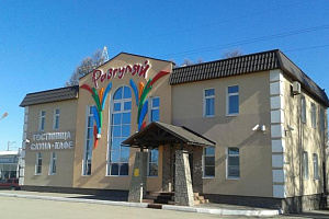 Мини-отели в Рязани, "Разгуляй" мини-отель мини-отель - фото