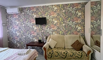 &quot;Уютная для большой семьи&quot; 1-комнатная квартира в Михайловске - фото 3