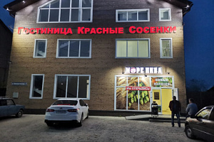 Гостиница в Тейкове, "Красные Сосенки" - фото