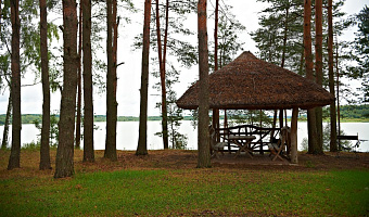 &quot;Борвиха&quot; парк-отель в д. Пилички (Смоленск) - фото 2