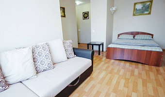 1-комнатная квартира Дарвина 9 в Кемерово - фото 3