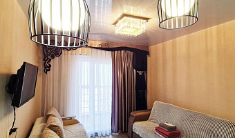 1-комнатная квартира Демьяна Бедного 57 в Новосибирске - фото 3