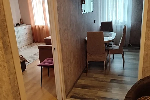 1-комнатная квартира Лесная 4 в Медвежьегорске фото 4
