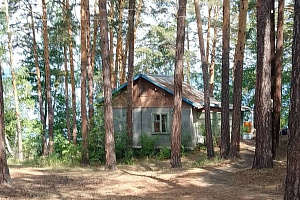 База отдыха в , "СОЛ Еловое" на оз. Еловое - фото