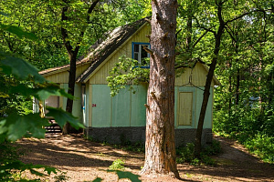 &quot;Сосновый Бор на Усе&quot; база отдыха в с. Переволоки (Сызрань) фото 3