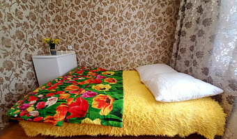 1-комнатная квартира Парашютная 21 в Красноярске - фото 2