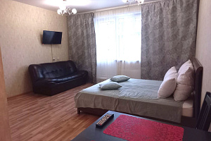 1-комнатная квартира Свердловская 17Б в Красноярске 4
