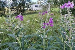 Гостиница в , "WHEEL HOME BELOMORSK" - цены