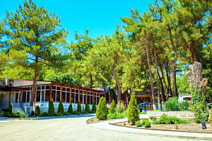 Отели Дивноморского для отдыха с детьми, "Арион с палаточным городком" для отдыха с детьми