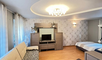 1-комнатная квартира Жуковского 18 в Санкт-Петербурге - фото 4