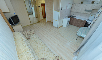 1-комнатная квартира Сурикова 37 в Екатеринбурге - фото 2