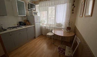 &quot;Стандартная на Горького&quot; 1-комнатная квартира в Нижнем Новгороде - фото 5