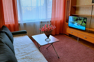 Гостиницы Волгограда шведский стол, 1-комнатная Ленина 6 шведский стол