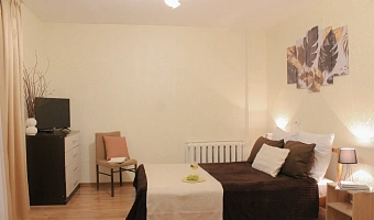 1-комнатная квартира Володарского 54 в Сестрорецке - фото 5