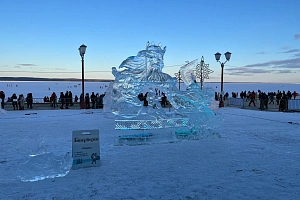 &quot;Уютный семейный у леса&quot; дом под-ключ в п. Чална фото 4