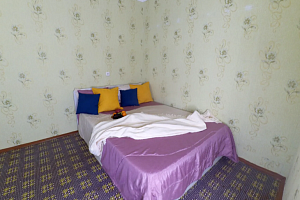 Квартиры Казани с размещением с животными, 1-комнатная Ибрагимова 32А с размещением с животными - фото