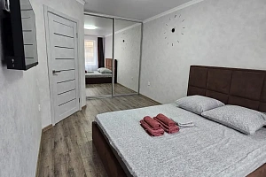 1-комнатная квартира Ишкова 105 в Михайловске фото 4