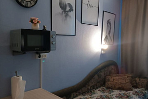 Гостиницы Екатеринбурга с собственным пляжем, "Свeтлая и уютная" комната с собственным пляжем