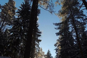 Гостевые дома Валдая недорого, "Берендеево царство" недорого - забронировать номер