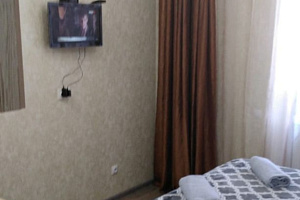 Гостиницы Ставрополя рейтинг, 1-комнатная Ленина 480/1 кв 160 рейтинг
