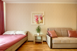 1-комнатная квартира Гайдара 41 в Калининграде 2