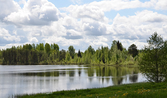 &quot;Forrest Home&quot; глэмпинг в д. Подборовье (Псков) - фото 5