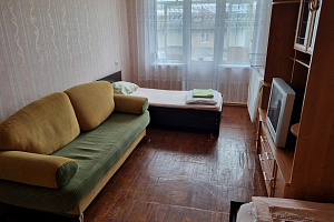 1-комнатная квартира Гагарина 7 линия 9А в Златоусте 5
