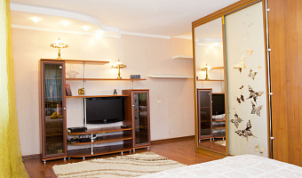 1-комнатная квартира Иртышская 29 в Омске - фото 2