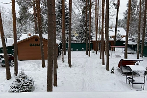 &quot;Загородный домик в соснах&quot; дом под-ключ в Вырице фото 9